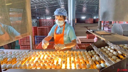 網眼看欽州|誠信食品企業開放日，“零距離”感受放心食品